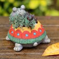 thumbnail image 6 of Mini Turtle Planter Pot | Resin Succulent & Bonsai Flower Pot with Drainage Hole | Small Desktop Plant Pot for Home Office Desk Decoration, 6 of 6