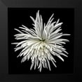 thumbnail image 2 of Le Blanc, Dawn 12x12 Black Modern Framed Museum Art Print Titled - Mauimum, 2 of 5