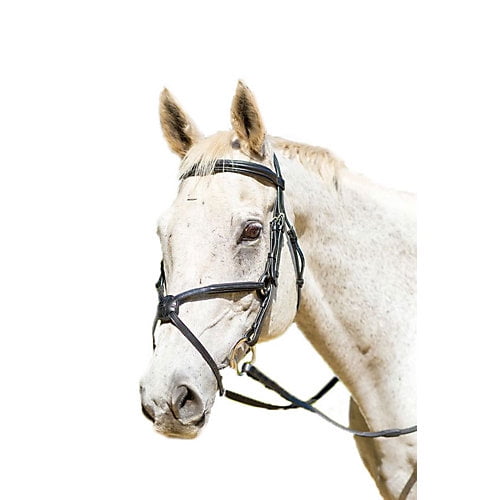 Shires Avignon Woodside Bridle Cob Black