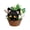 7493 Chocolate Black Cat, variant on HZLKADAQ Micro-Particle Interlocking Building Blocks Toy Dessert Animal Series ABS, Ages 8 and Up, 1 Pack