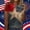 Dark Gray, variant on NTACZA Short Sleeve Tops for Women Casual Patriotic Star Studded Print Crew Neck T‑Shirts Graphic Tees Festival Relaxed Fit Blue