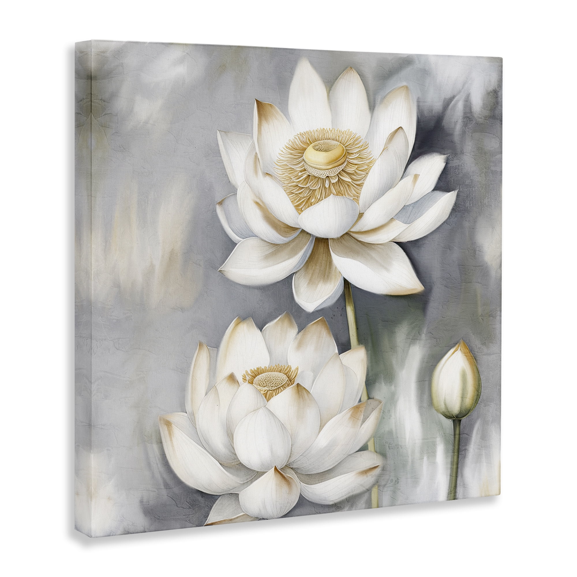 Stupell Industries Budding White Lotus Plants & Flowers Painting Wrapped Canvas Art Print Wall Art, 30 x 30
