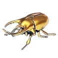 thumbnail image 3 of YWIYIUD 1 Pce 2.44x4.02x1.65 Pouces Jouets Réalistes en Forme d'Insectes Modèle pour l'Apprentissage des Sciences et Cadeaux Éducatifs en Science Mini Modèle en Forme d'Insectes pour Ornements de Salon à la Maison, 3 of 5