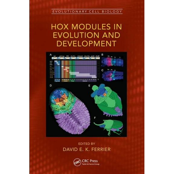 Evolutionary Cell Biology Hox Modules in Evolution and Development, (Hardcover)