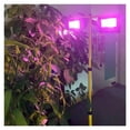 thumbnail image 4 of Solar LED Grow Light Full Spectrum Floodlight Plant Growing Light With Remote Waterproof Phytolamp For Indoor Outdoor Plants ,Excellent Full Spectrum, 4 of 6