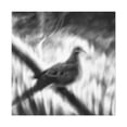thumbnail image 4 of Mourning Dove Impressionism - Canvas, 4 of 25
