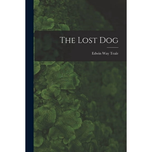 The Lost Dog, (Paperback)