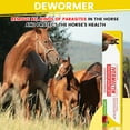 thumbnail image 3 of Neww-Lot de 2-Pâte,-0.21 Onces,-Pomme-Cheval Aromatisé,Assure la Santé des Chevaux, 3 of 3