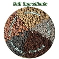 thumbnail image 7 of Bonsai Soil Potting Soil for Bonsai 2 Qt Natural Bonsai Tree Soil Mix for Potted Plant, 7 of 7