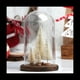 thumbnail image 3 of Mini Decoraciones para áRboles de Navidad, Cepillos para , áRboles, Decoraciones de Mesa de Navidad, áRboles de Navidad Artificiales en Miniatura, 3 of 5
