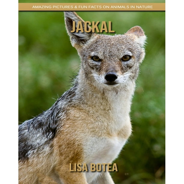 Jackal : Amazing Pictures & Fun Facts on Animals in Nature (Paperback) - Jackal : Amazing Pictures & Fun Facts on Animals in Nature (Paperback) -