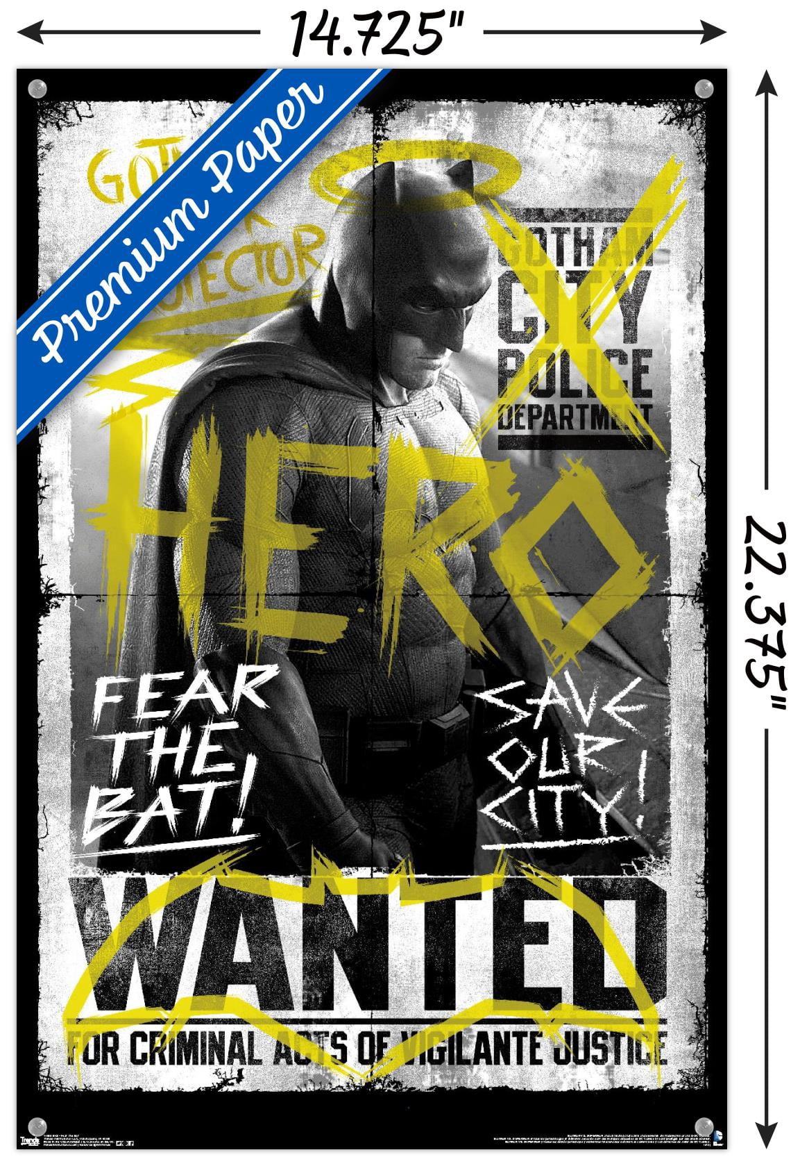 DC Comics Movie - Batman v Superman - Fear the Bat Wall Poster with Push Pins, 14.725" x 22.375"