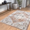thumbnail image 3 of Abacasa Summit Rawlins Cinnamon/Natural/Blue Area Rug, 3 of 8
