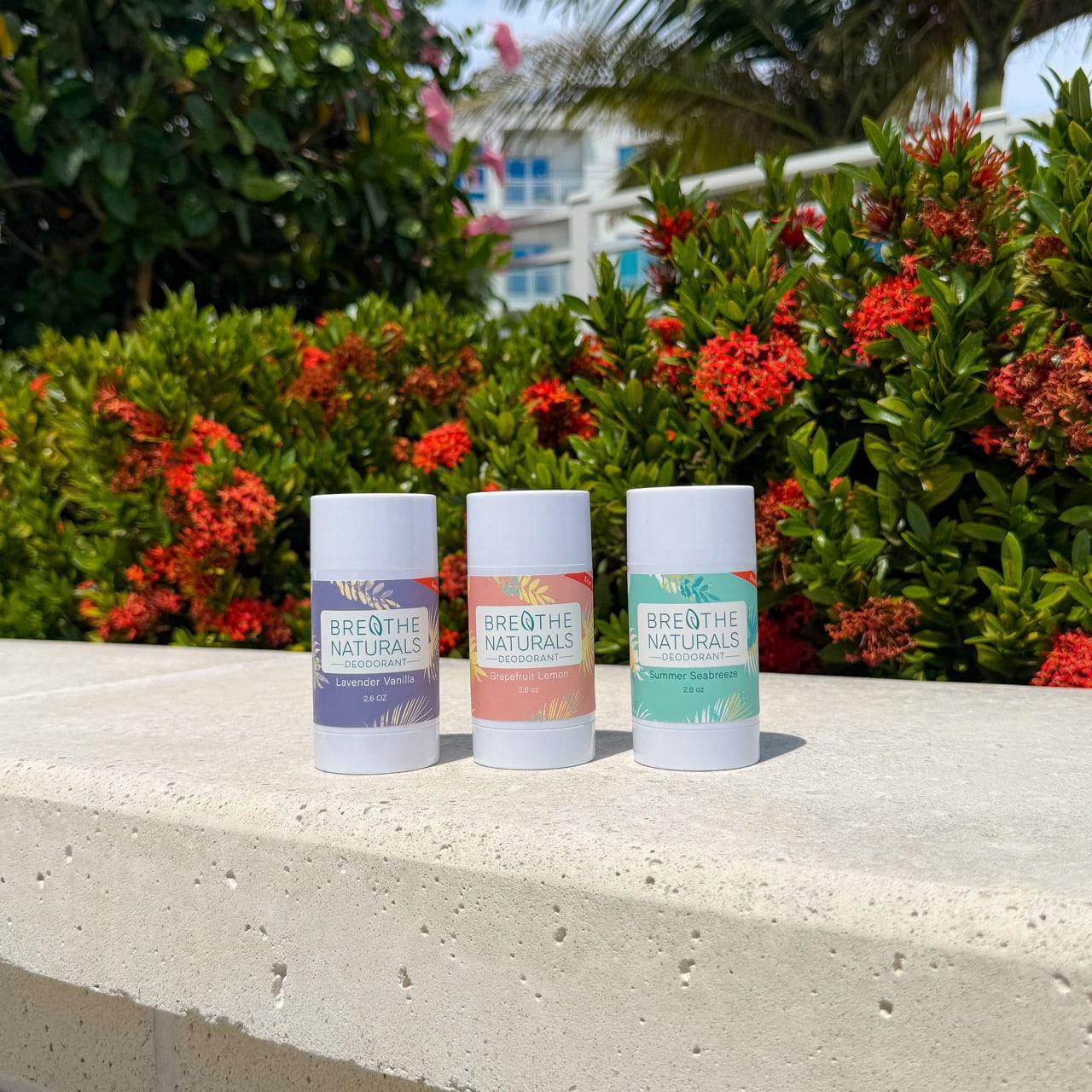 Breathe Naturals Deodorant - 24 Hour Freshness - Aluminum Free & Vegan - For Sensitive Skin, Men, Women & Kids - 2.6 oz Stick - Made in the USA - (Chick Pit Pack)