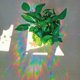 thumbnail image 5 of 3 Sheets Anti-Collision Window Stickers DIY Rainbow Leaves Theme Window Clings Removable PVC Glass Stickers for Bird Strikes, 5 of 5