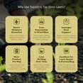 thumbnail image 5 of Baccto Wholly Cow Horticulture Peat & Composted Manure, 40 Quarts (10 Pack), 5 of 10