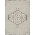 thumbnail image 2 of Addison Rugs Chantille Indoor/Outdoor Traditional Vintage Beige Washable Rectangle Rug, 2'6" x 3'10", 2 of 6