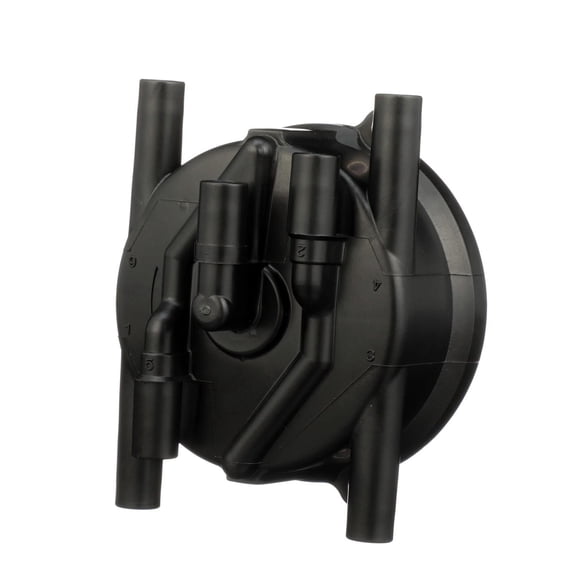 Distributor Cap