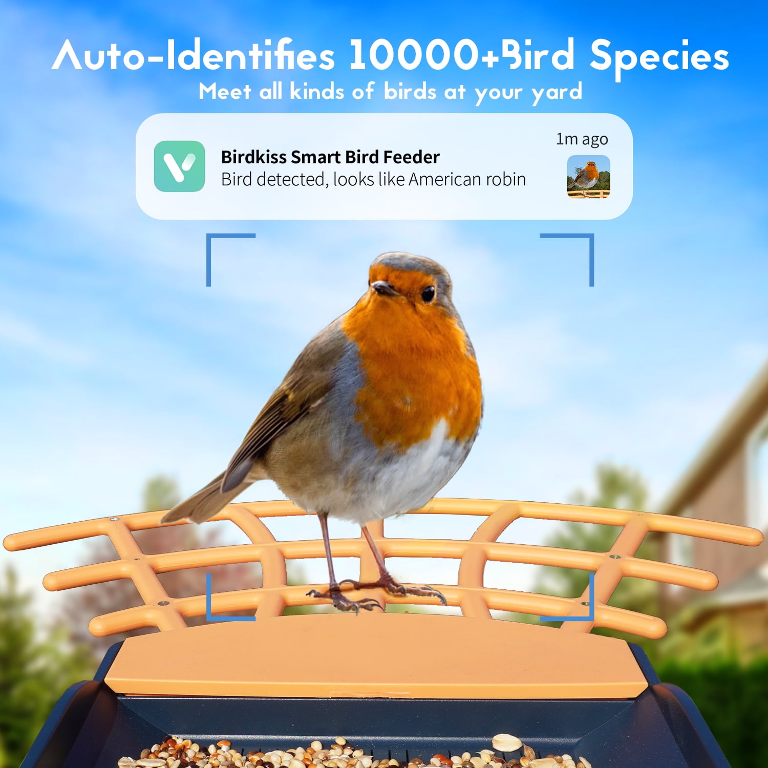 Birdkiss AI Bird Feeder Camera with Capture 1080P HD Images/videos, App Real Time Notification, Smart Bird Feeder for Bird Watching