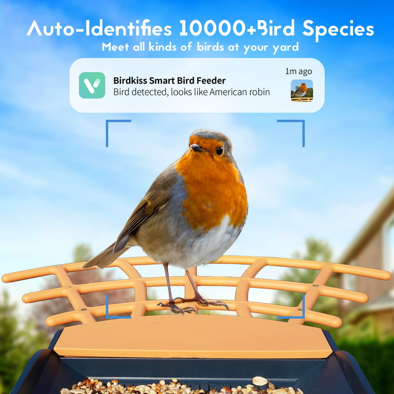 Smart Technology Meets Nature: Farmice Smart Bird Feeder Review 