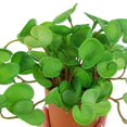 thumbnail image 5 of 15cm Artificial Plants Leaves Fake Grass Bouquet Green Plants Leafs Tropical Tree Leaves Lucky Grass Foliage for Home Bonsai, 5 of 9