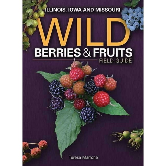 Wild Berries & Fruits Identification Wild Berries & Fruits Field Guide of Illinois, Iowa and Missouri, (Paperback)
