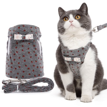 APPIE Harnais pour Animaux de Compagnie Laisse Mignon Beau Bowknot Harnais de Chat Extérieur avec Laisse pour Animaux de Compagnie