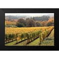 thumbnail image 2 of Love, Maureen 18x13 Black Modern Framed Museum Art Print Titled - Bella Vida II, 2 of 5