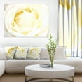 thumbnail image 1 of White Rose with Close Up Petals - Floral Canvas Art Print, 1 of 3