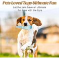 Bottle Toy, Shop Bottle Toys for Dogs, Bottle Chew Toys for Dogs, Dog
