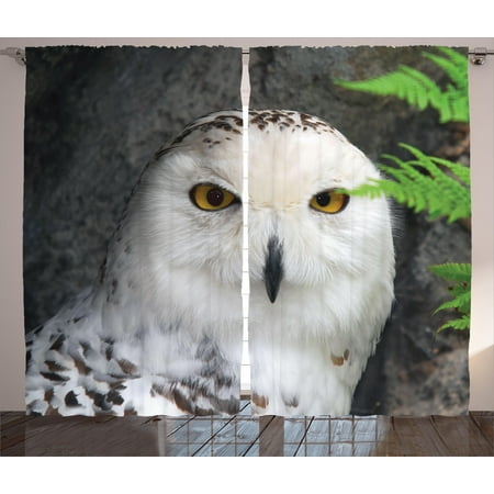 - Wizard Curtains 2 Panels Set, Pattern White Owl Themed Animal Green Leaves Amber Eyes Gift Witchcraft Print, Window Drapes for Living Room Bedroom, 108W X 90L Inches, White Green Black, by Ambesonne