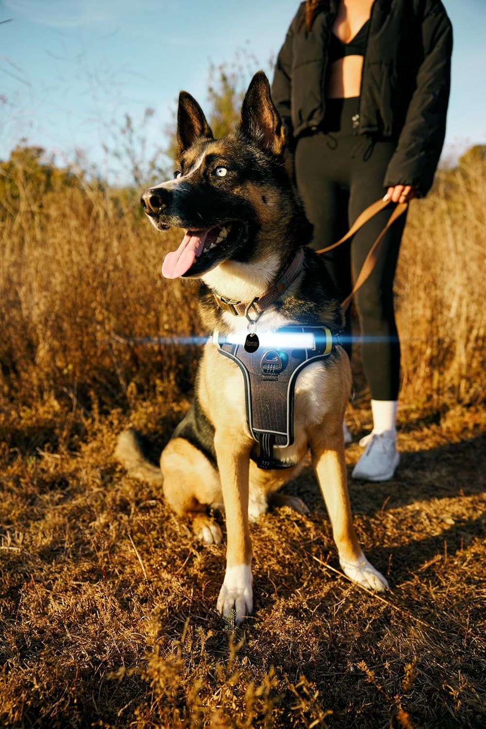 Lumi One LED Dog Harness – High Visibility Light Up Dog Harness for Night Walks – 1000 Lumen LED Dog Vest with Rechargeable Battery, Adjustable Fit & Reflective Dog Apparel (BLACK, EXTRA LARGE)