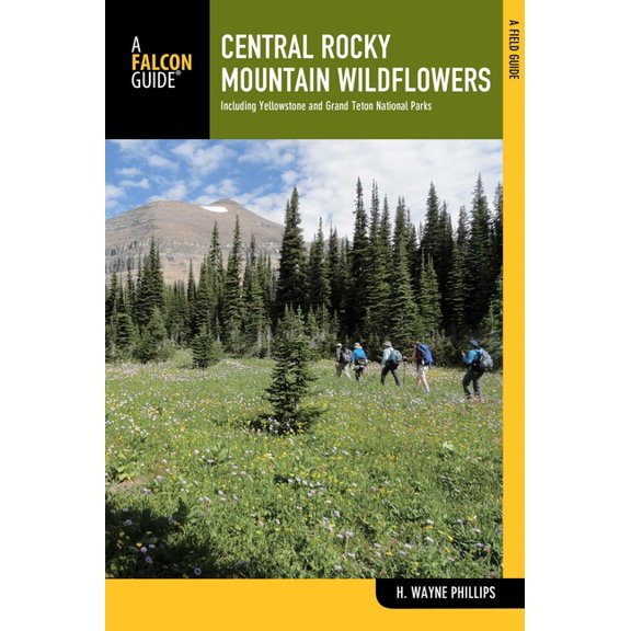 Wildflower Central Rocky Mountain Wildflowers, (Paperback)