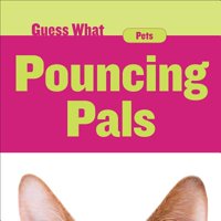 Pouncing Pals : Cat