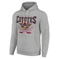 thumbnail image 2 of Men's Starter Heather Gray Arizona Coyotes Team Logo Graphic Fleece Tri-Blend Pullover Hoodie, 2 of 3