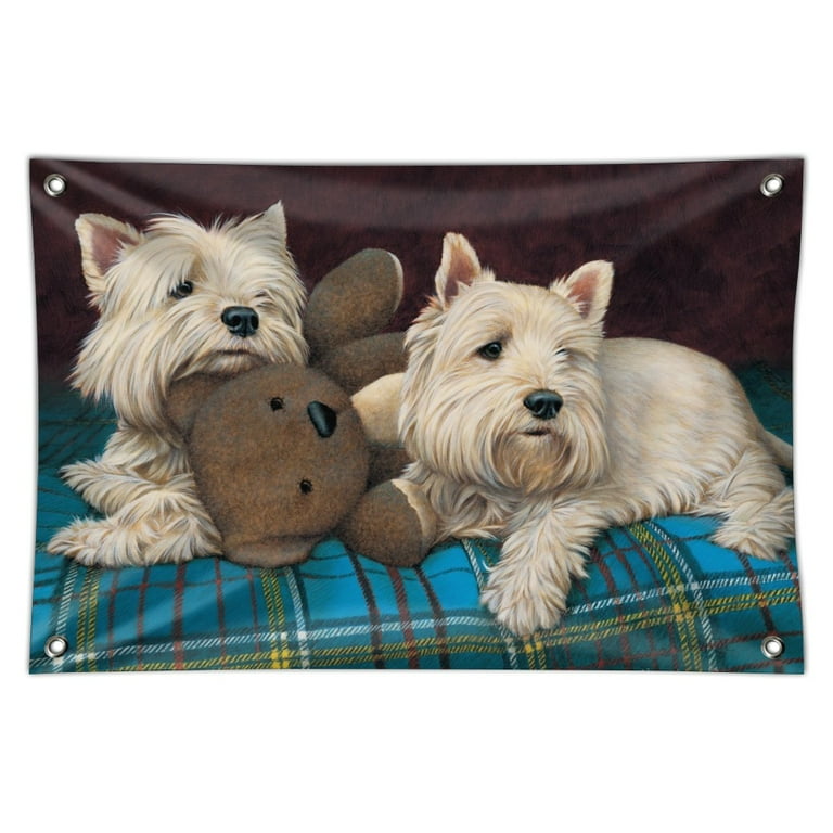 Westie shop teddy bear