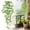 Light Green, variant on ZFSBZBS Fake Hanging Plants Vines for Room Decor,Artificial Ivy Greenery Garlands for Home Bedroom Living Aesthetic Kitchen Office Wall Patio Bookshelf,Indoor,Outdoor Farmhouse Decorations,Green