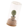 thumbnail image 4 of Cristal decorativo terrario Cloche caja de cristal miniatura jardín decoración del hogar 8 8 Sharpla Decoraciones de estatuas de terrarios, 4 of 8
