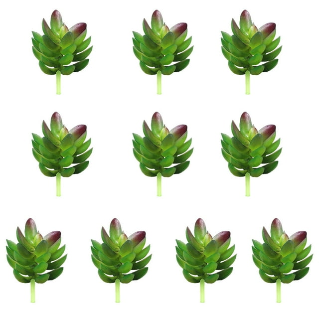 Miniplantas suculentas simuladas Inteprter 10 piezas para hogar