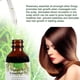 thumbnail image 3 of Aceite Esencial de Romero para Cuidado de la Piel y Crecimiento del Cabello 30 ml, 3 of 7