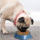 thumbnail image 5 of Comedero lento azul de 2 piezas para perros, comedero de alimentación lenta, comedero antitragantamiento para perros y gatos, promueve una alimentación saludable y una digestión lenta., 5 of 5