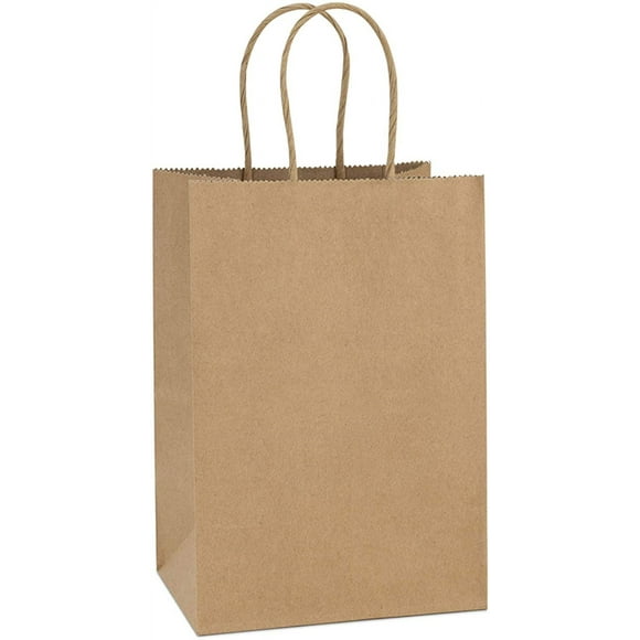Kraft Paper Bags 10Pcs 5.25x3.75x8 Inches Small Paper Gift Bags with Handles Bulk, Paper Shopping Bags, Kraft Bags, Party Bags, Brown Bags