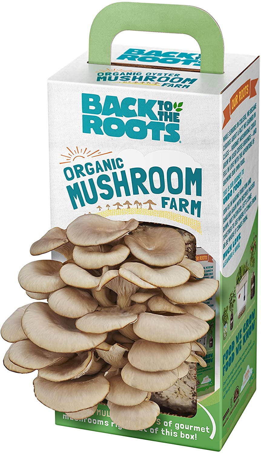 Back to the Roots Organic Mushroom Farm Grow Kit Top Gardening Gift Unique Gift Holiday Gift Harvest Gourmet Oyster Mushrooms In 10 days 