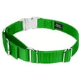 thumbnail image 4 of Country Brook Petz® Hot Lime Green Heavyduty Nylon Martingale with Premium Buckle, Extra Small, 4 of 6