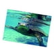 thumbnail image 4 of Fondo Adhesivo Subacuático Decoración Colco Tortuga 76x46cm Pecera de fondo pegatina, 4 of 8