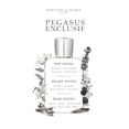 thumbnail image 3 of PARFUMS de MARLY Pegasus Exclusif, 2.5 fl. oz., 3 of 5