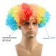 thumbnail image 2 of 2025 Latest Model Unisex Short Fluffy Afro Wigs-Women Men Kinky Curly Disco, 2 of 5