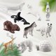 thumbnail image 1 of Juego de 10 Uds de animales marinos y océano Polar, iglú de leones marinos, zorro, cabra, para niños, 1 of 9