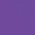 thumbnail image 4 of Playera Blusa De Pitaya Sweet Summer Time – Explosión de Color y Sabor Tropical Color Morado Talla Grande Marca Emil SaEs, 4 of 4