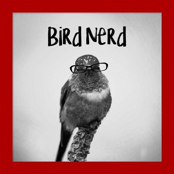 Great Art Now Bird Nerd - Hummingbird by Color Me Happy, Framed Wall Art, 14W x 14H